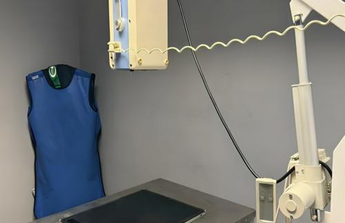 Первичный прием кошек и собак за 10р, кастрация кота за 70р в "Центр Здоровья Животных" в Могилеве